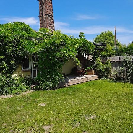 Ferienwohnung In Welzin Damshagen 外观 照片